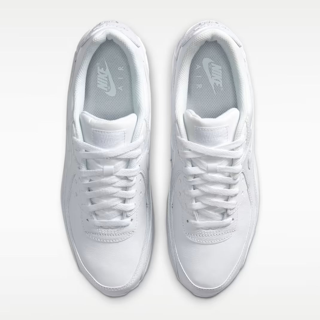 Nike Air Max 90 Low-Top Running and Walking Shoes