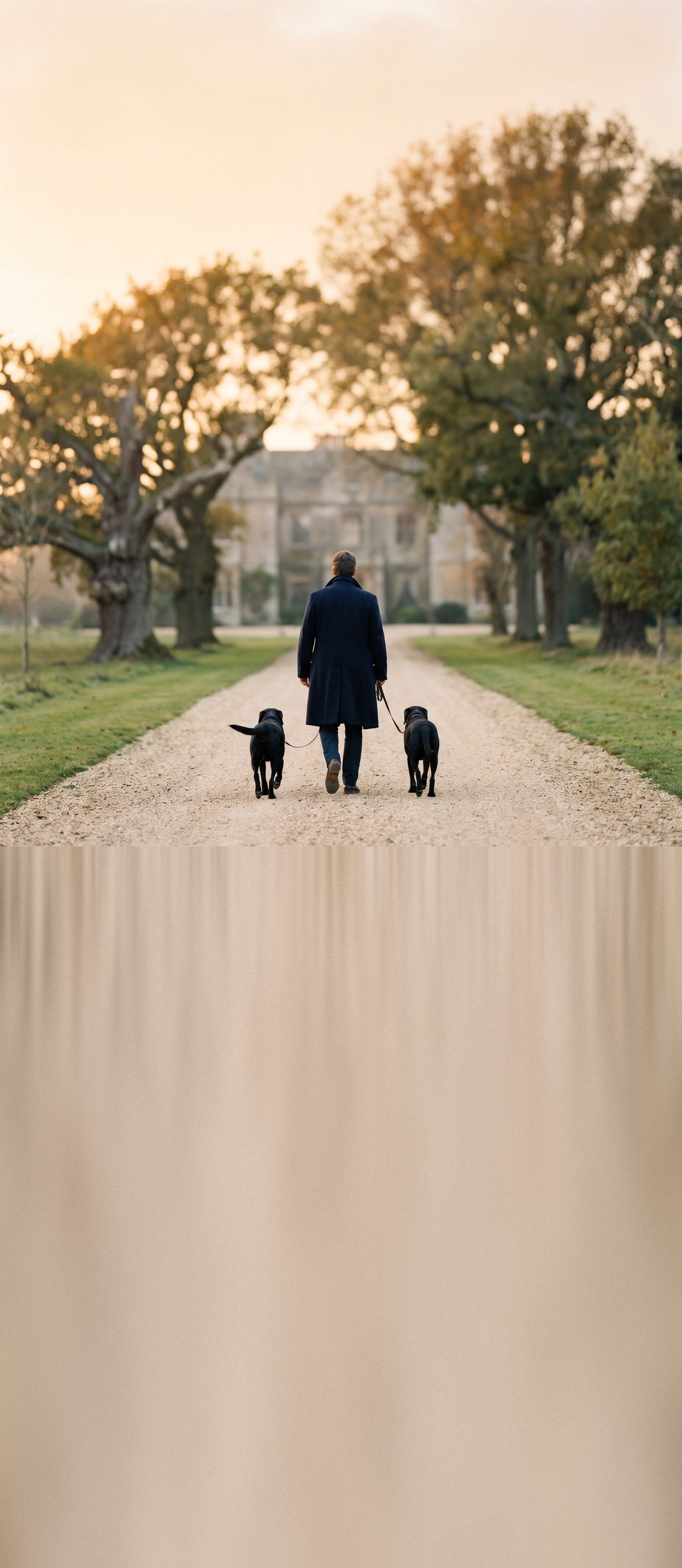 Man walking two black labradors down an estate drive